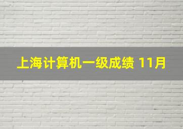 上海计算机一级成绩 11月